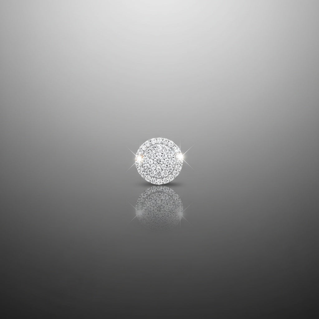 Premium Studded Earrings